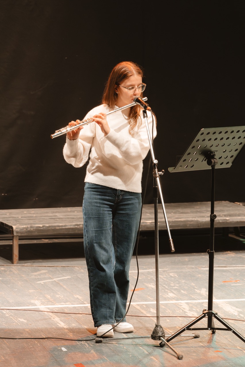 Red Cross Concert — photo 33